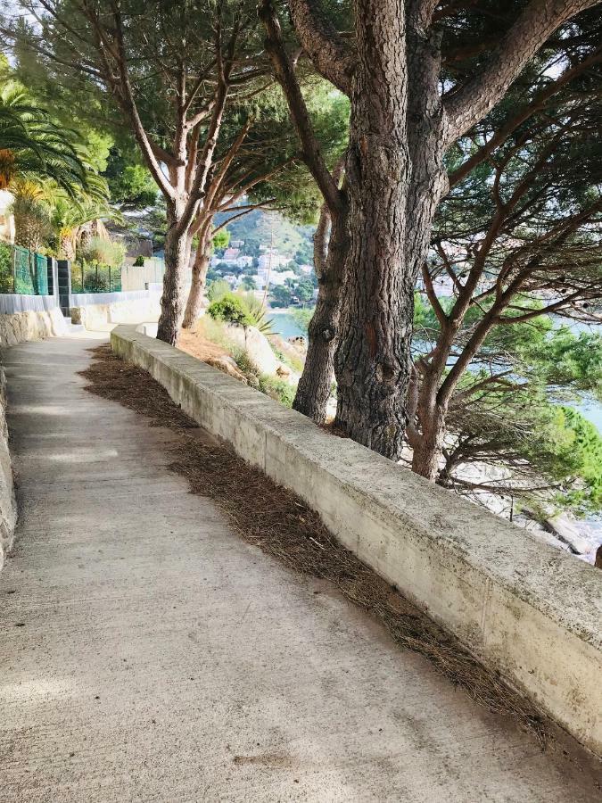 Appartement Castell Blau Roses
